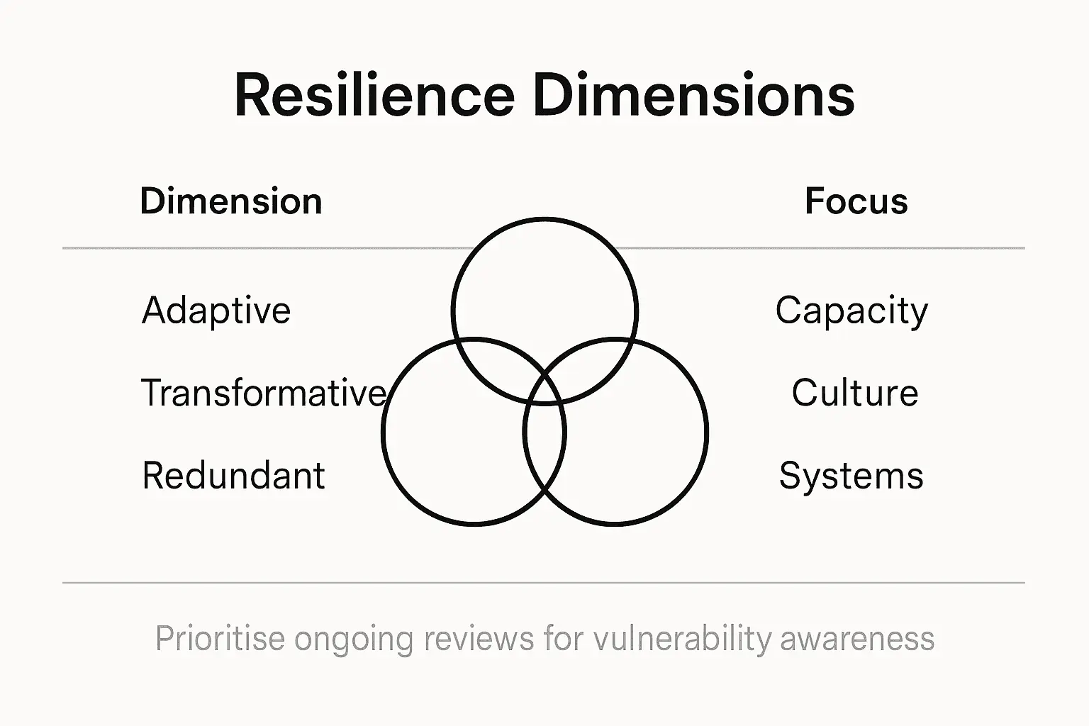 Infographic summarising nonprofit resilience dimensions